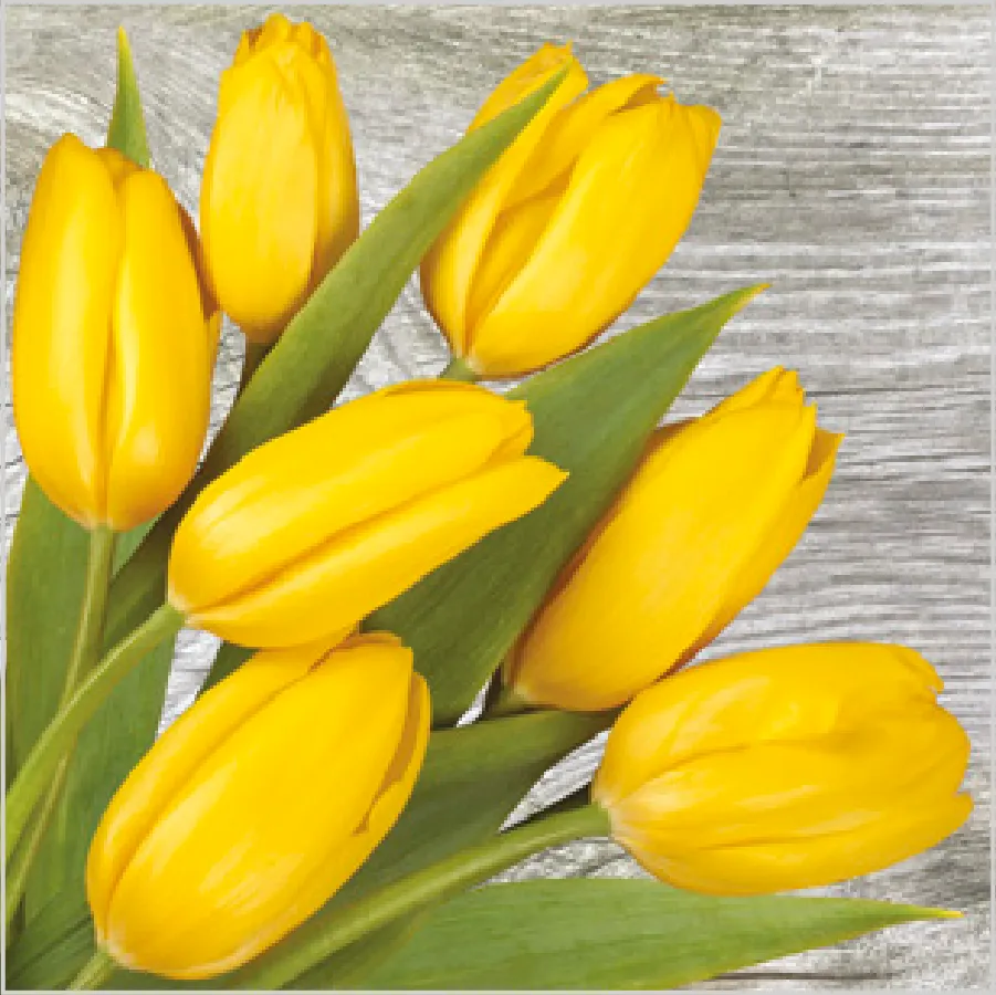Tulipanes Amarillos sobre Madera · SD_WI_004601